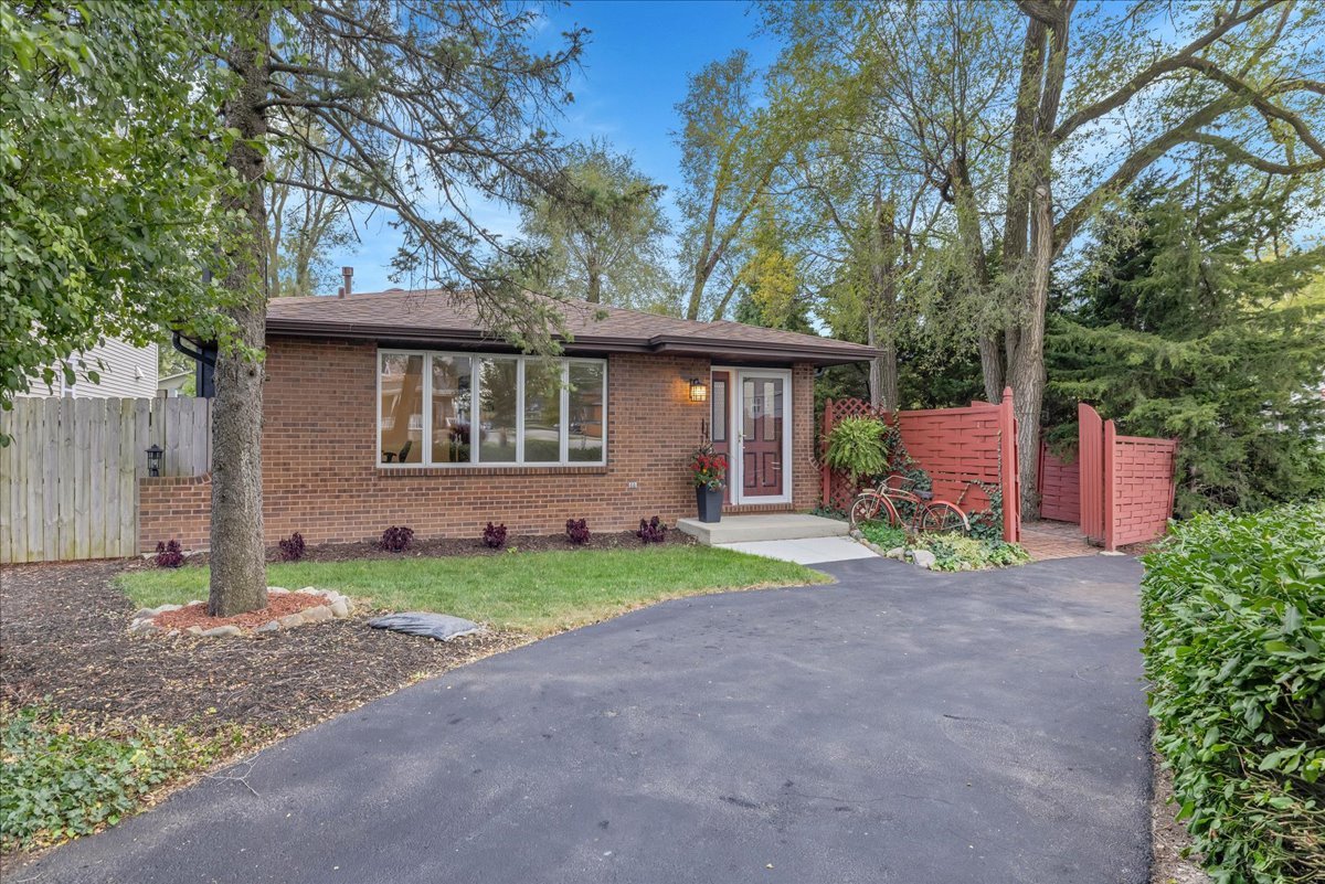 a view of a house with a yard and large tree