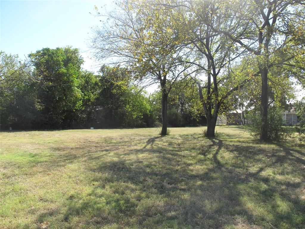 a view of yard with trees