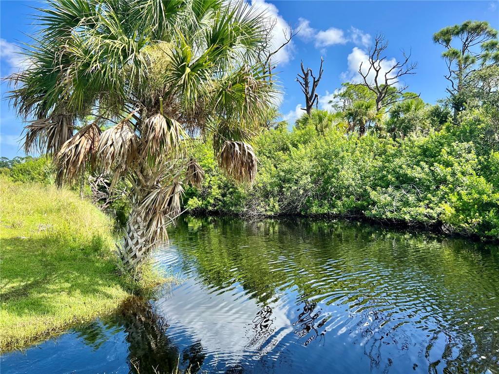 a view of a lake with a garden