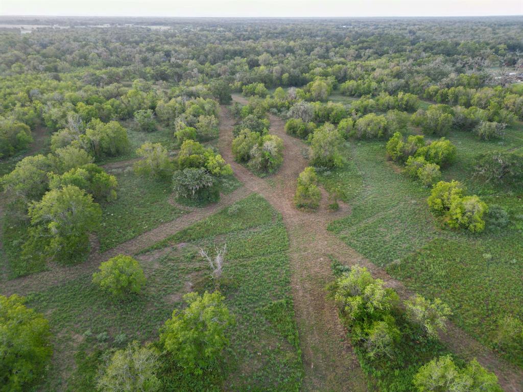 an aerial view of greenery