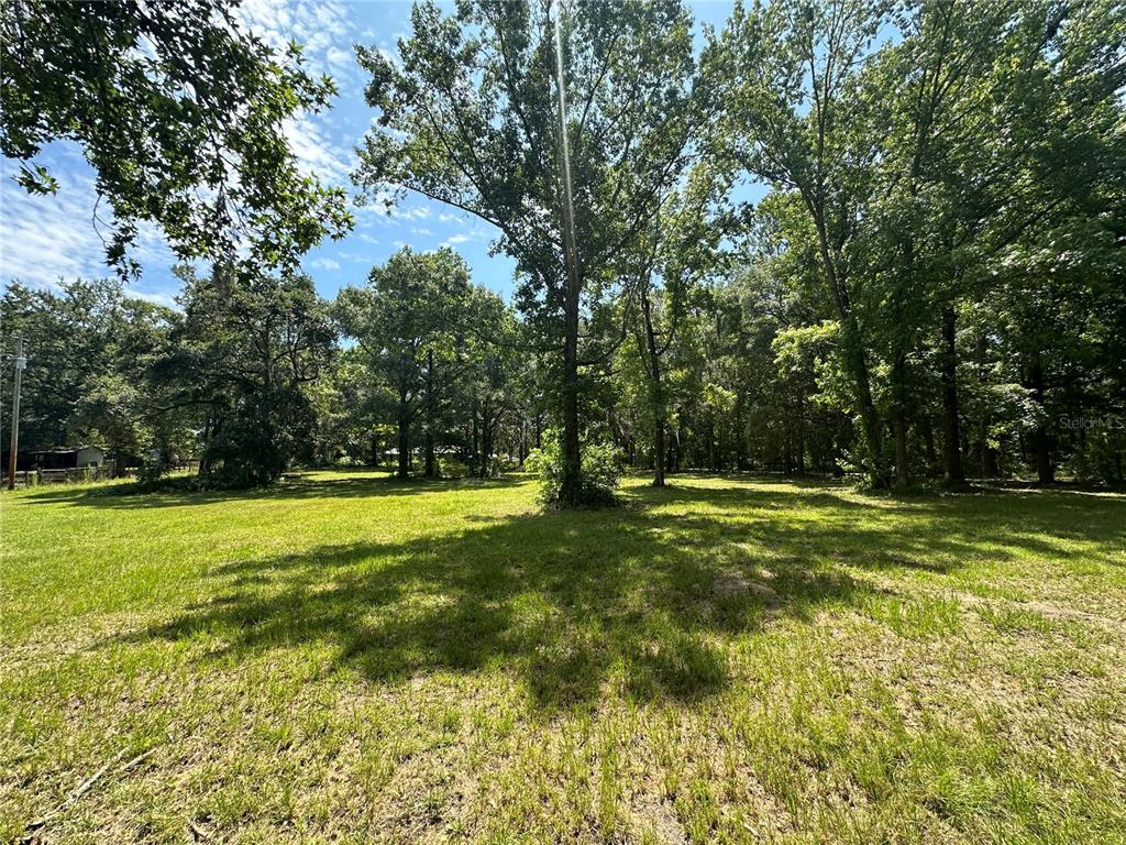 a view of a swimming pool with a big yard and large trees