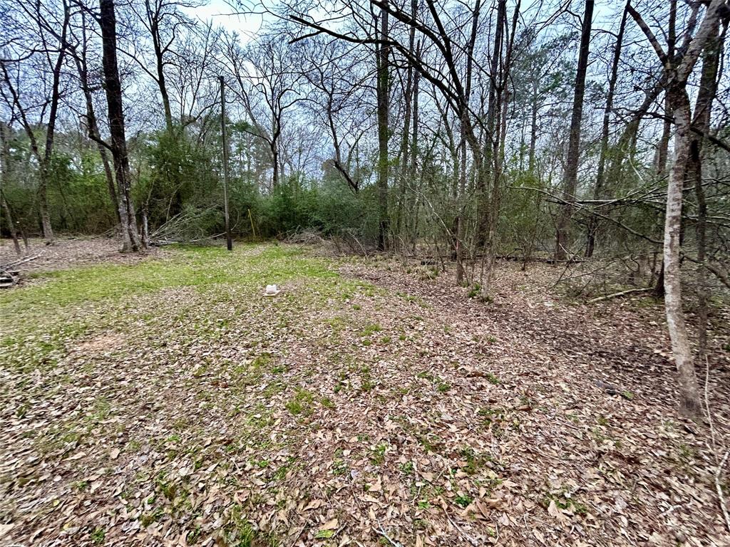 a view of outdoor space with trees