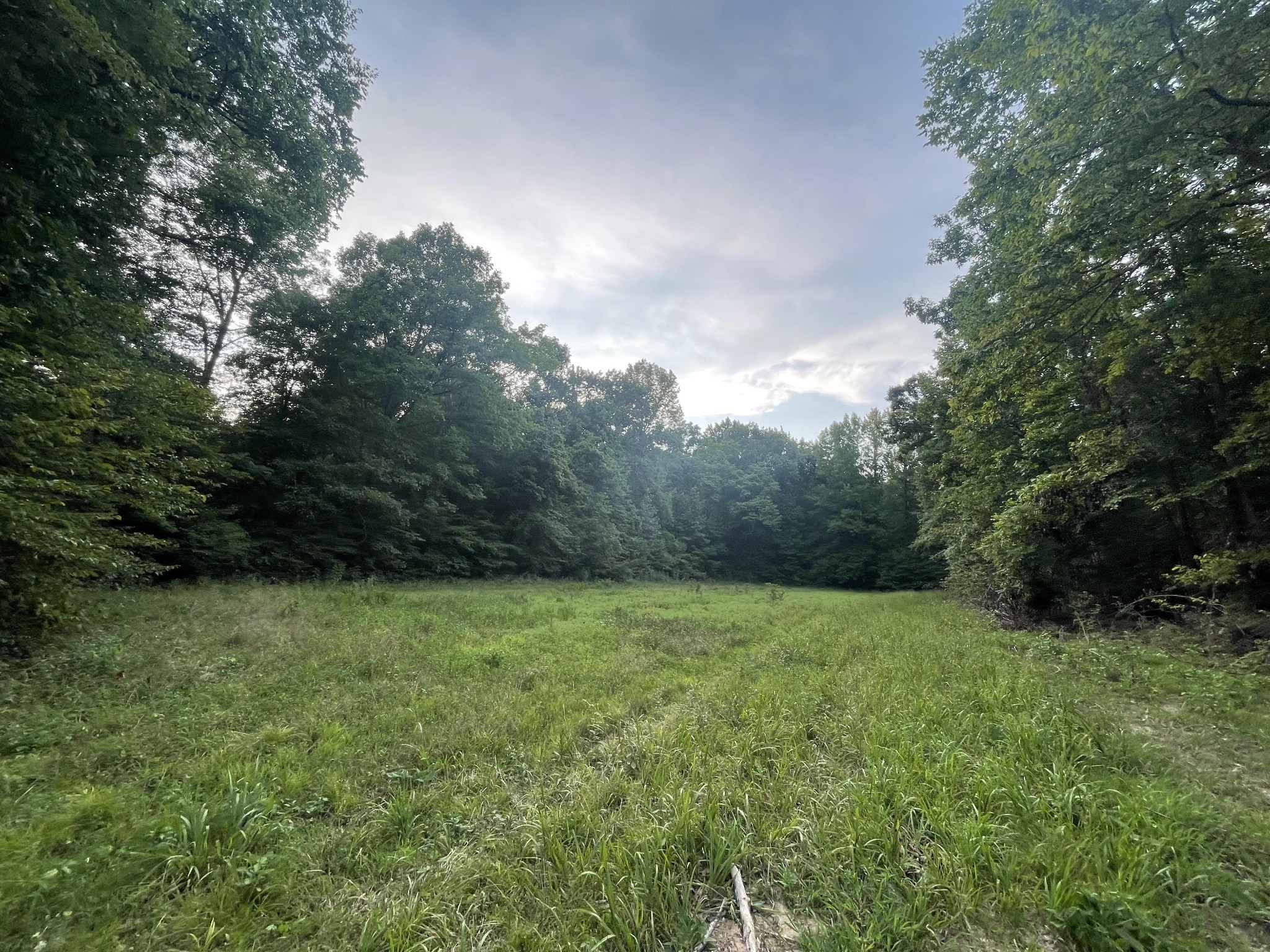 a view of a green field with trees in the background