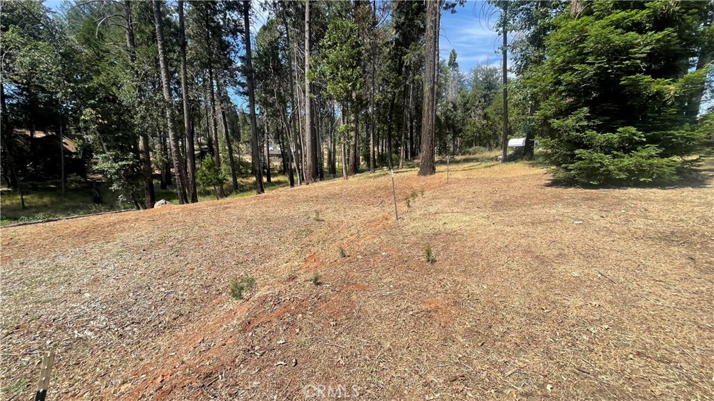 a view of a backyard of the house