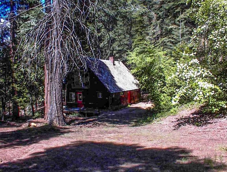 a view of a house with a tree