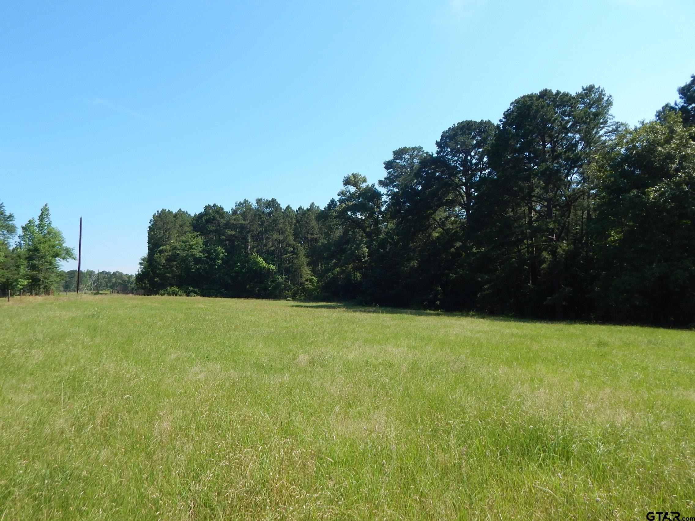 a view of a field of grass and trees