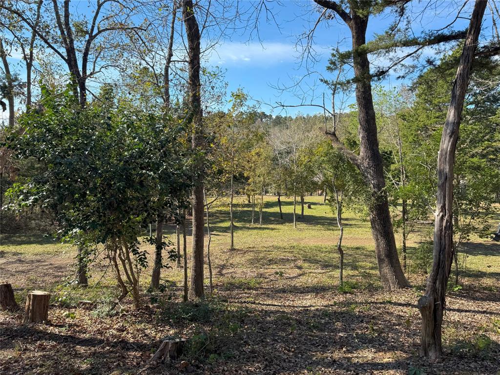 a view of a yard with wooden fence