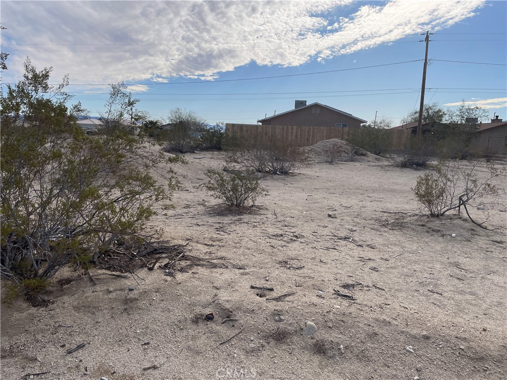 a view of a dry yard with wooden fence