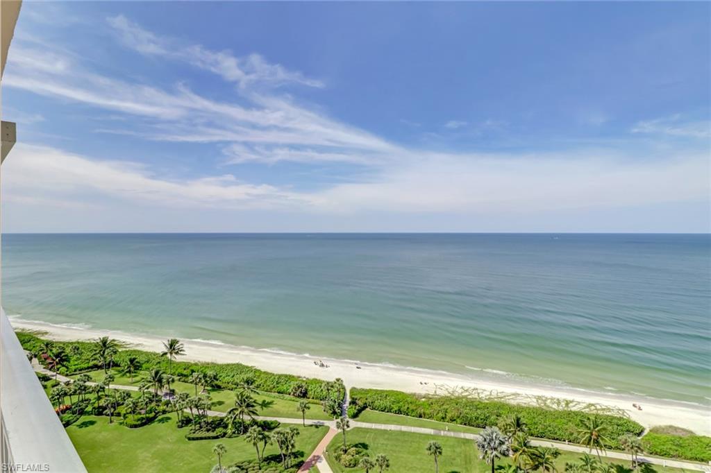 a view of a field with an ocean