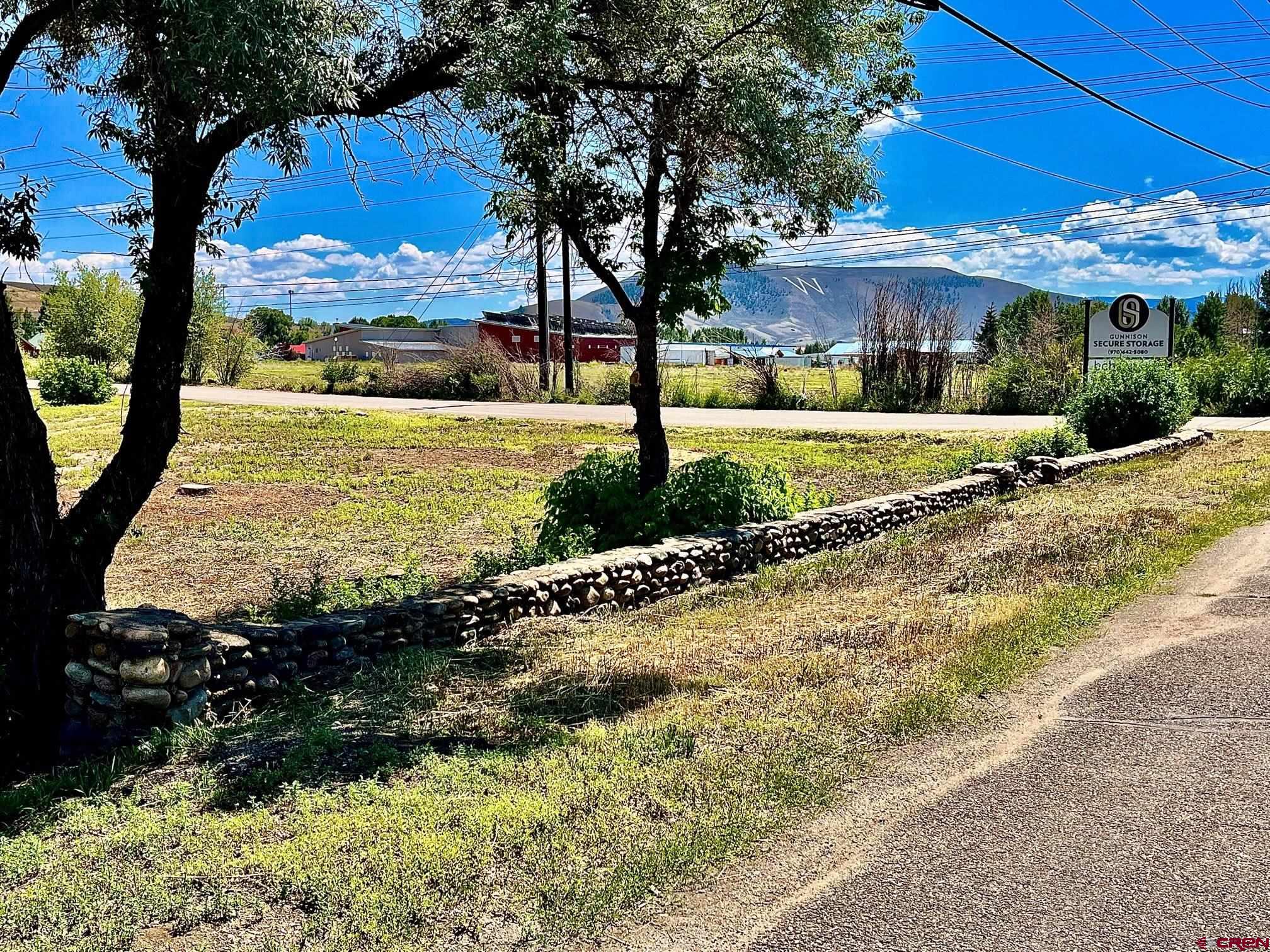 a view of a street with a yard and large trees