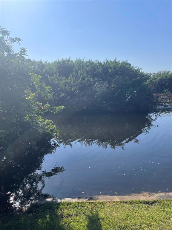 a view of a lake in middle of forest