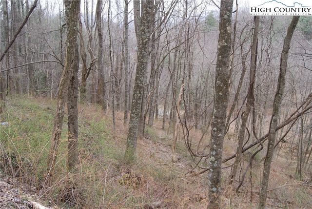 $38,990 | Lot 56 Toms Knob Road | Prathers Creek Township - Alleghany County