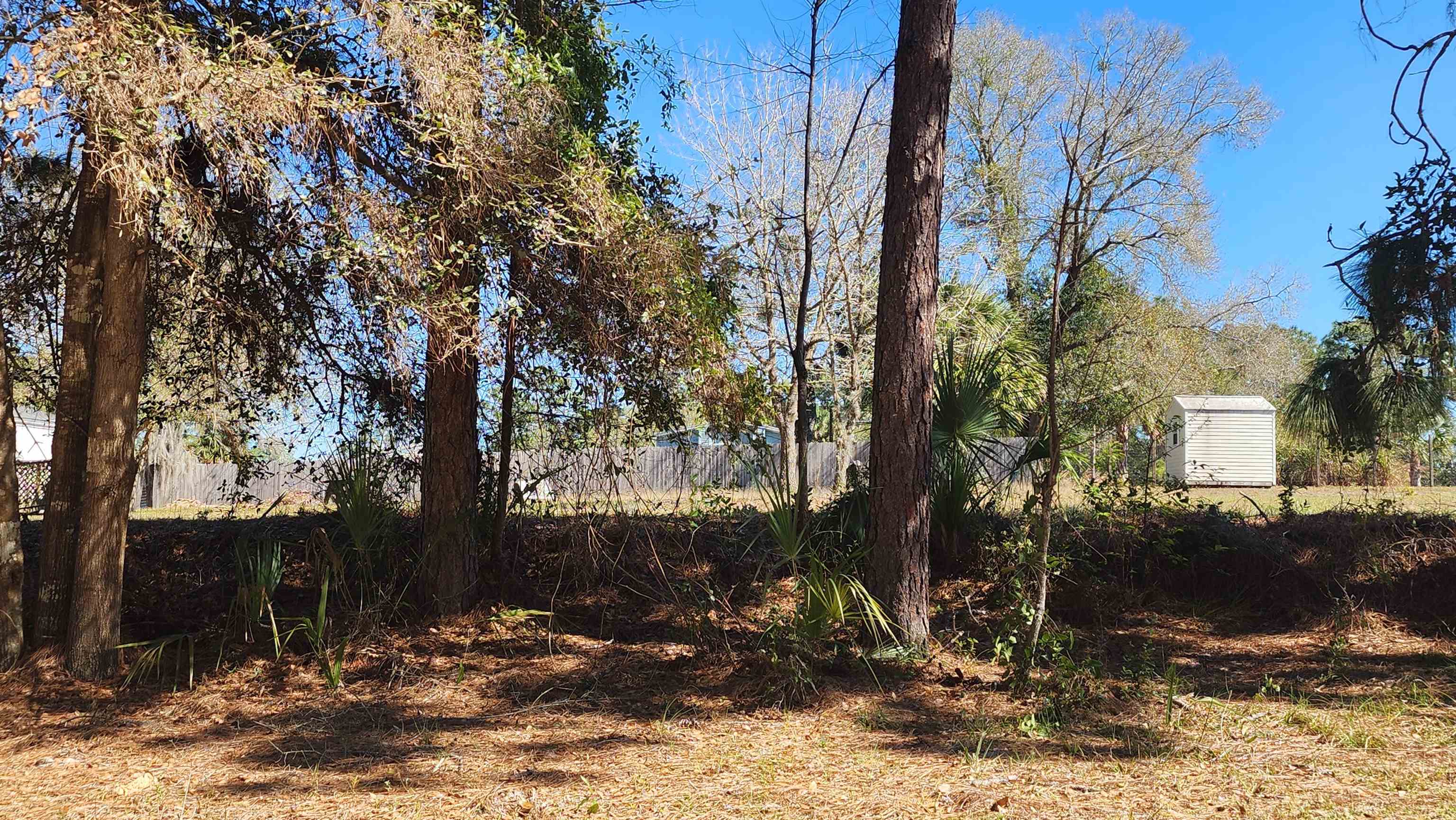 a view of outdoor space and yard