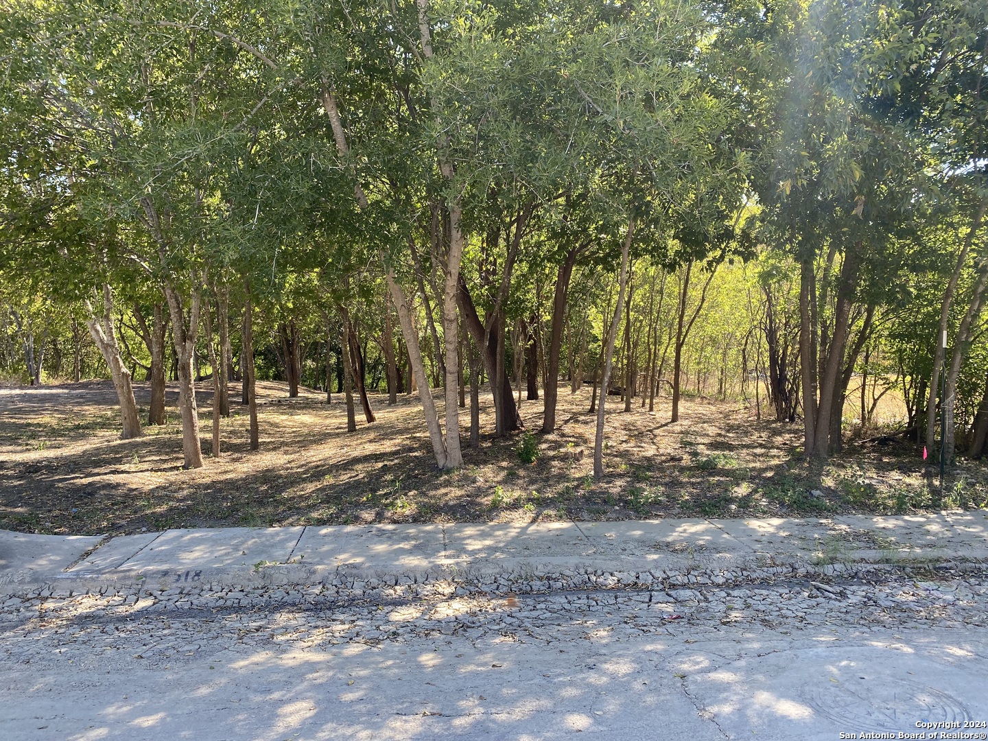 a view of road with trees