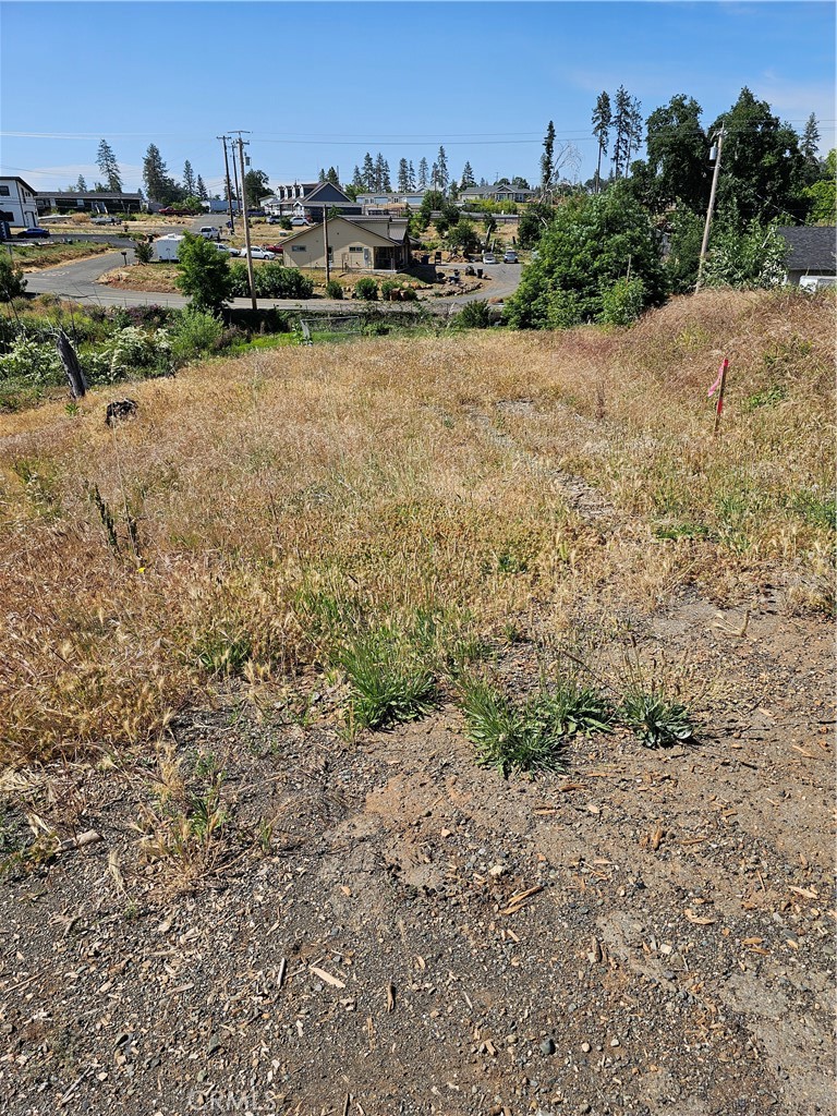 a view of a dry yard with trees