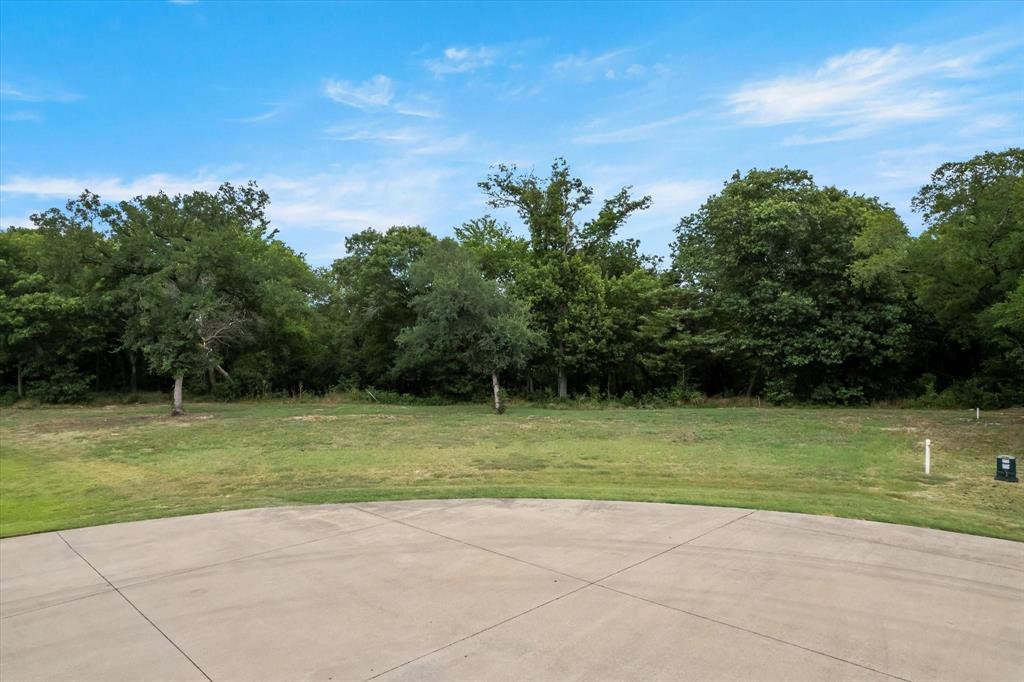 a view of a grassy field with trees