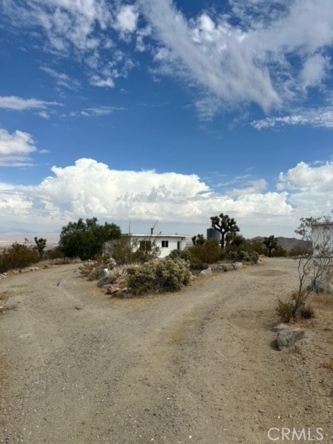 a view of a dry yard