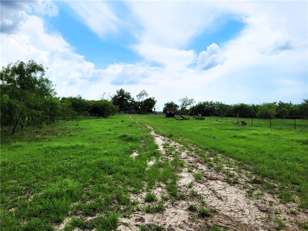 a view of a grassy field