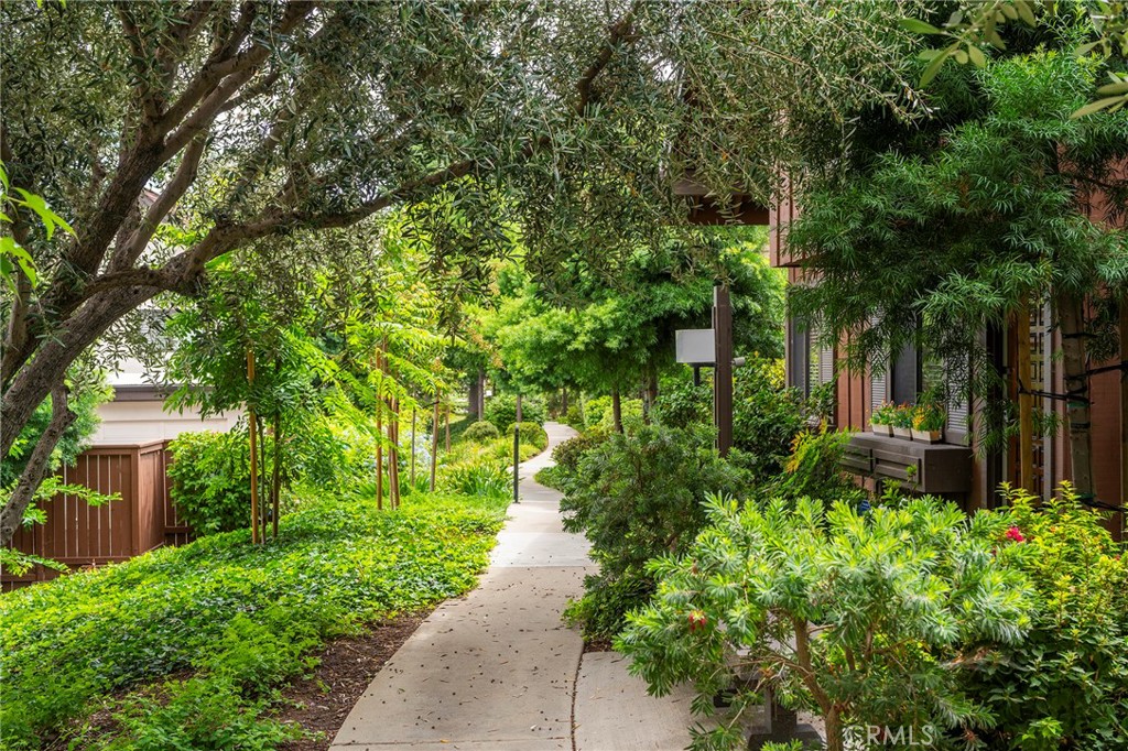 a view of a back yard with plants and trees