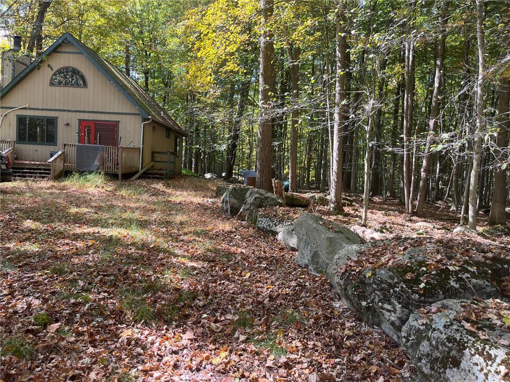 a view of a house with a yard covered in forest