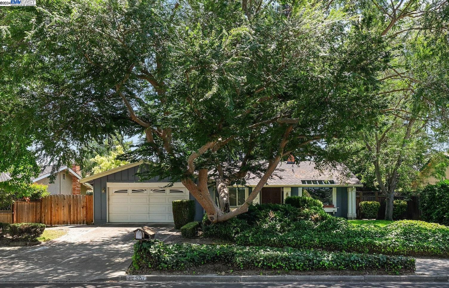 front view of a house with a tree