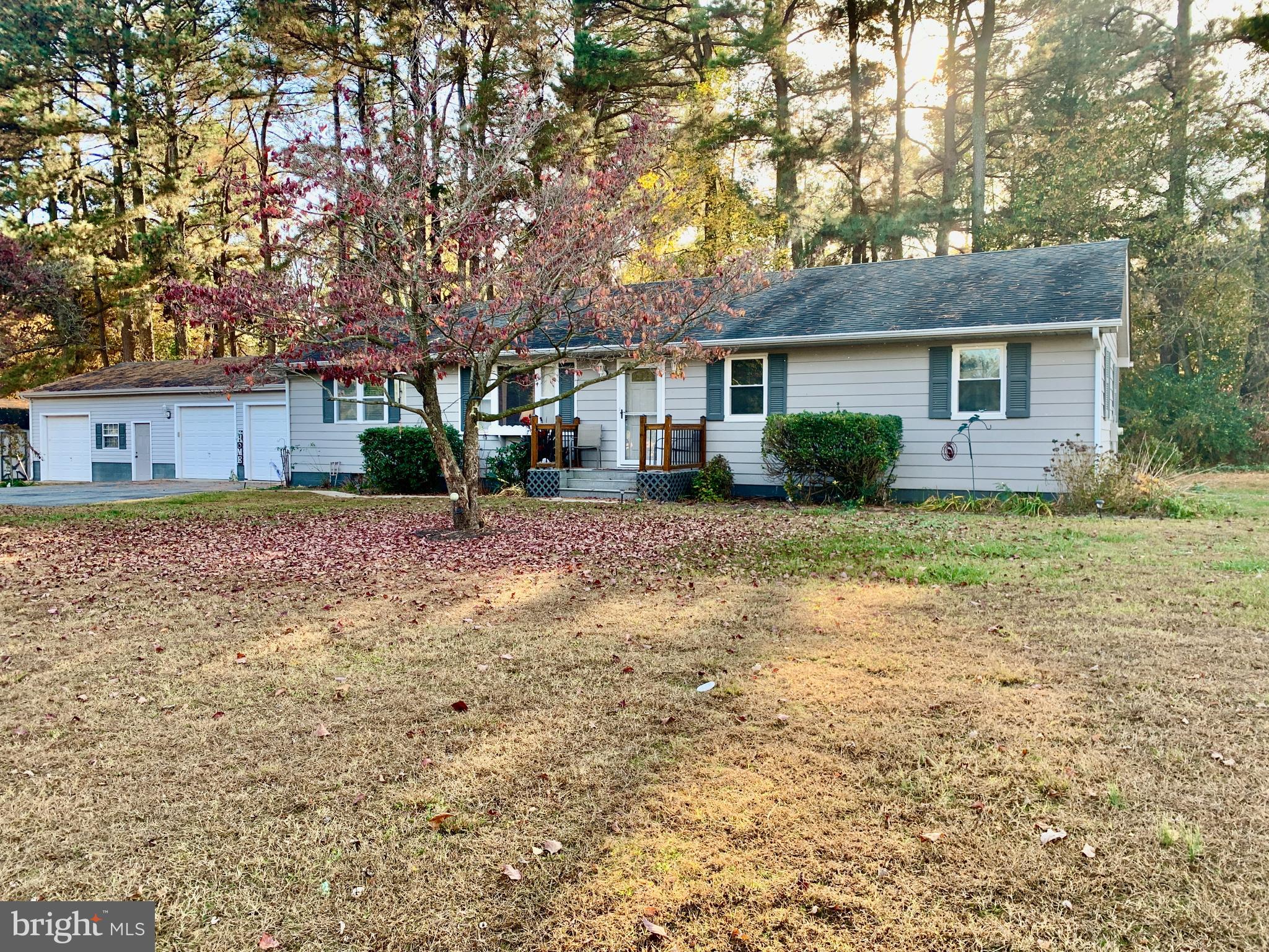 a front view of a house with a yard and trees