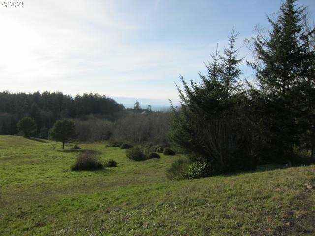 a big yard with lots of green space