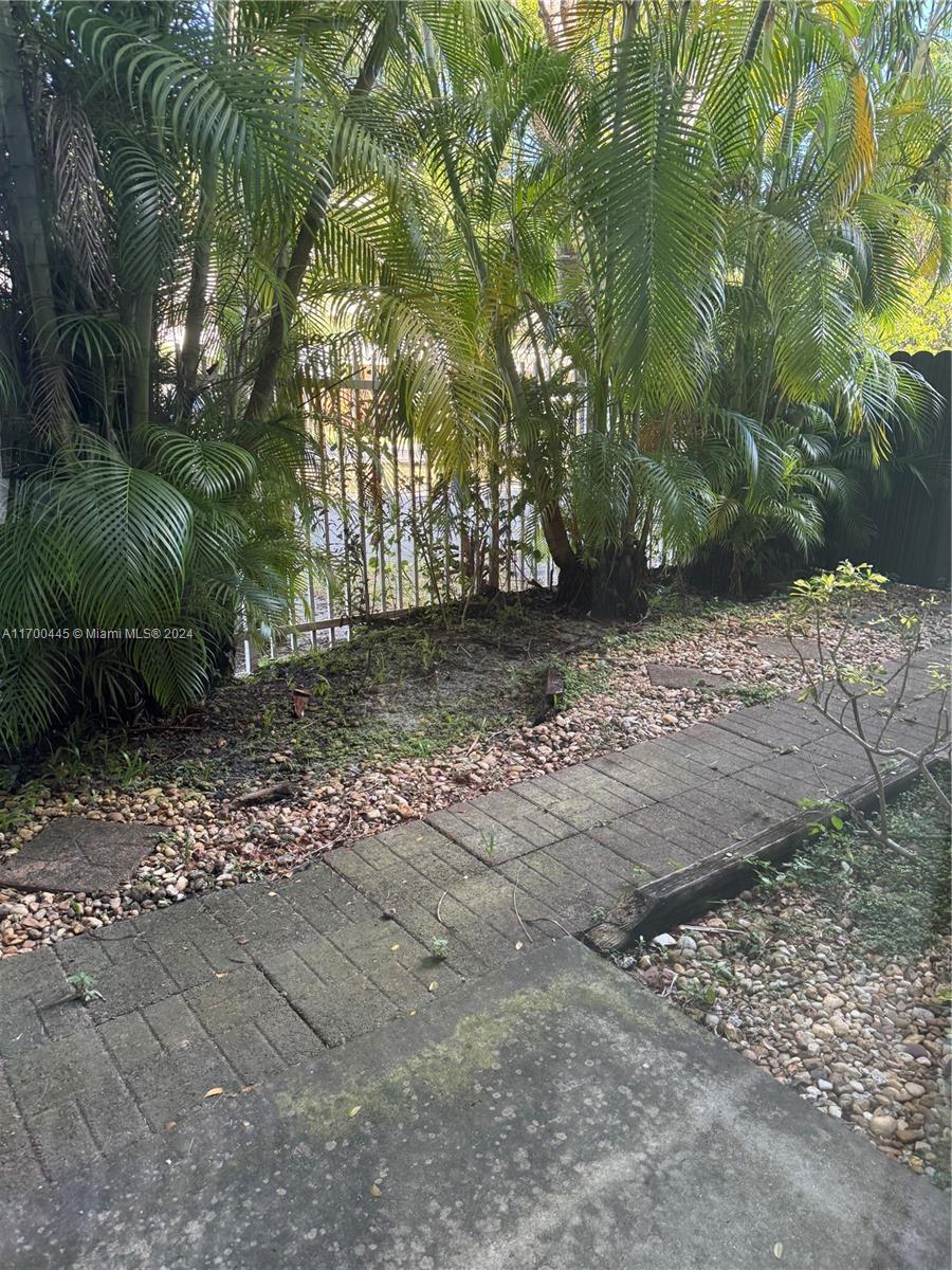 a view of a yard with plants and trees