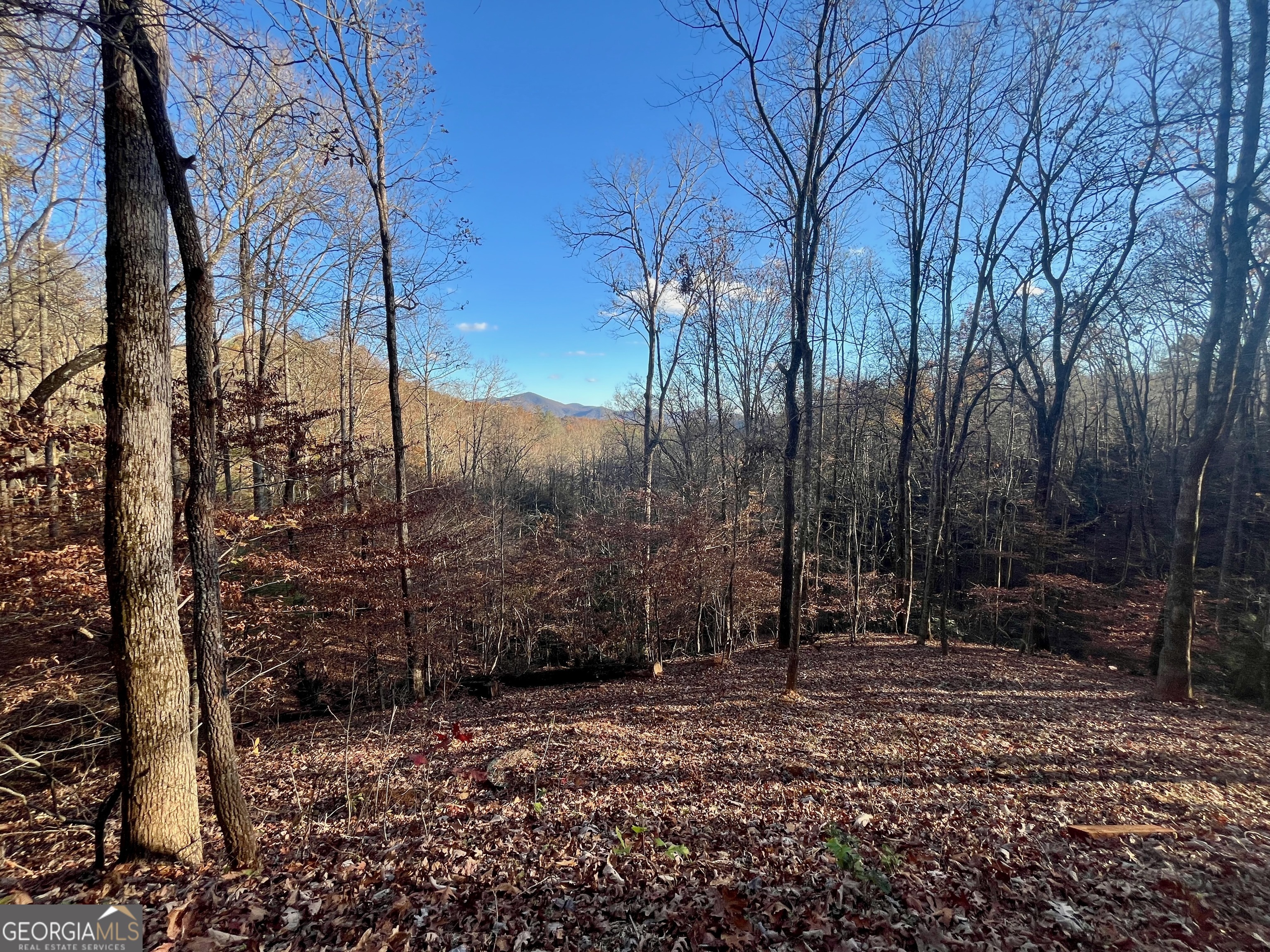 a view of a backyard of the house