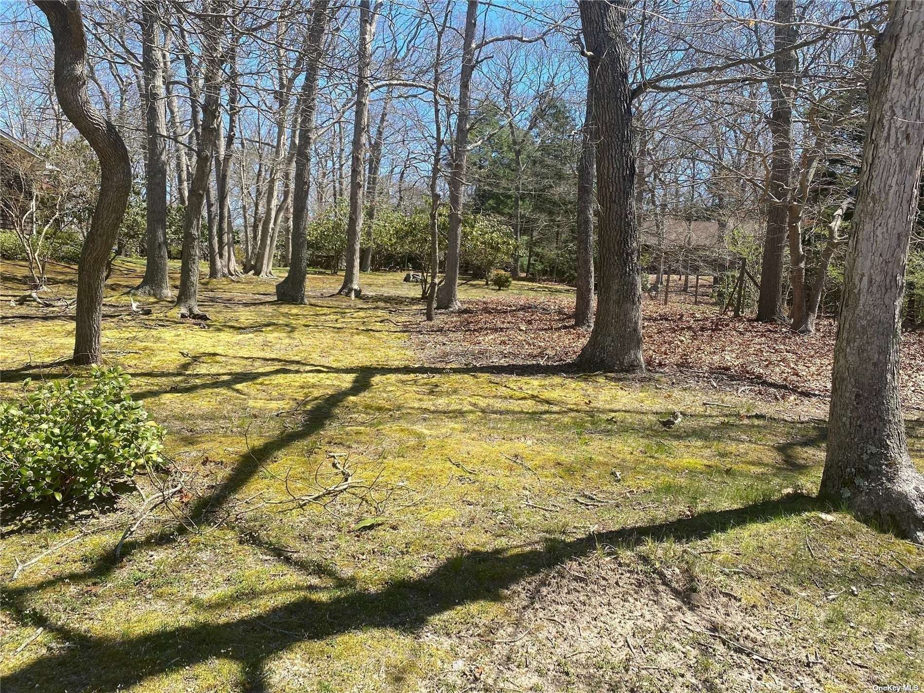 a view of yard with trees