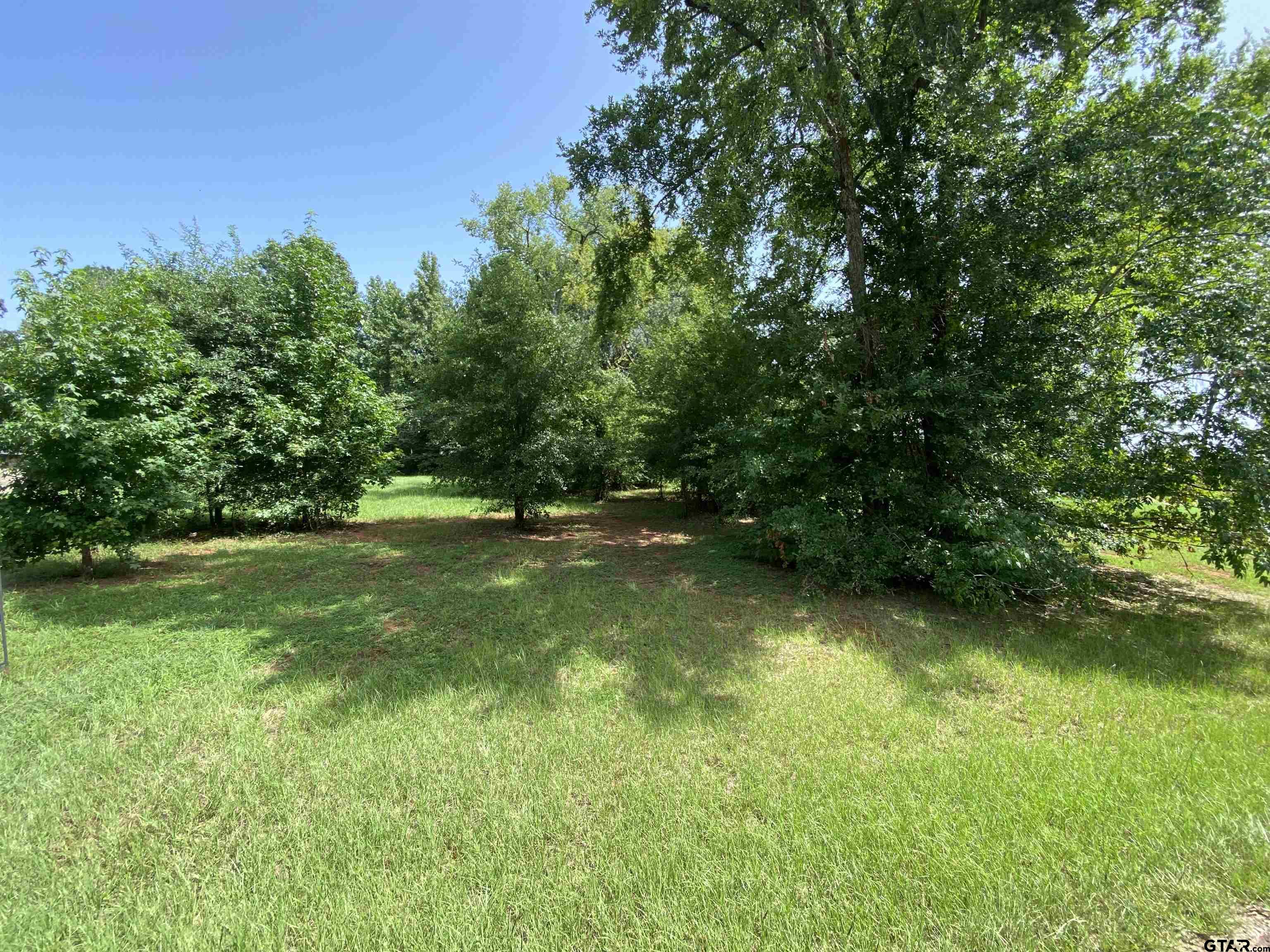 a view of outdoor space and yard