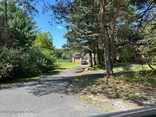 a view of a yard with tree s