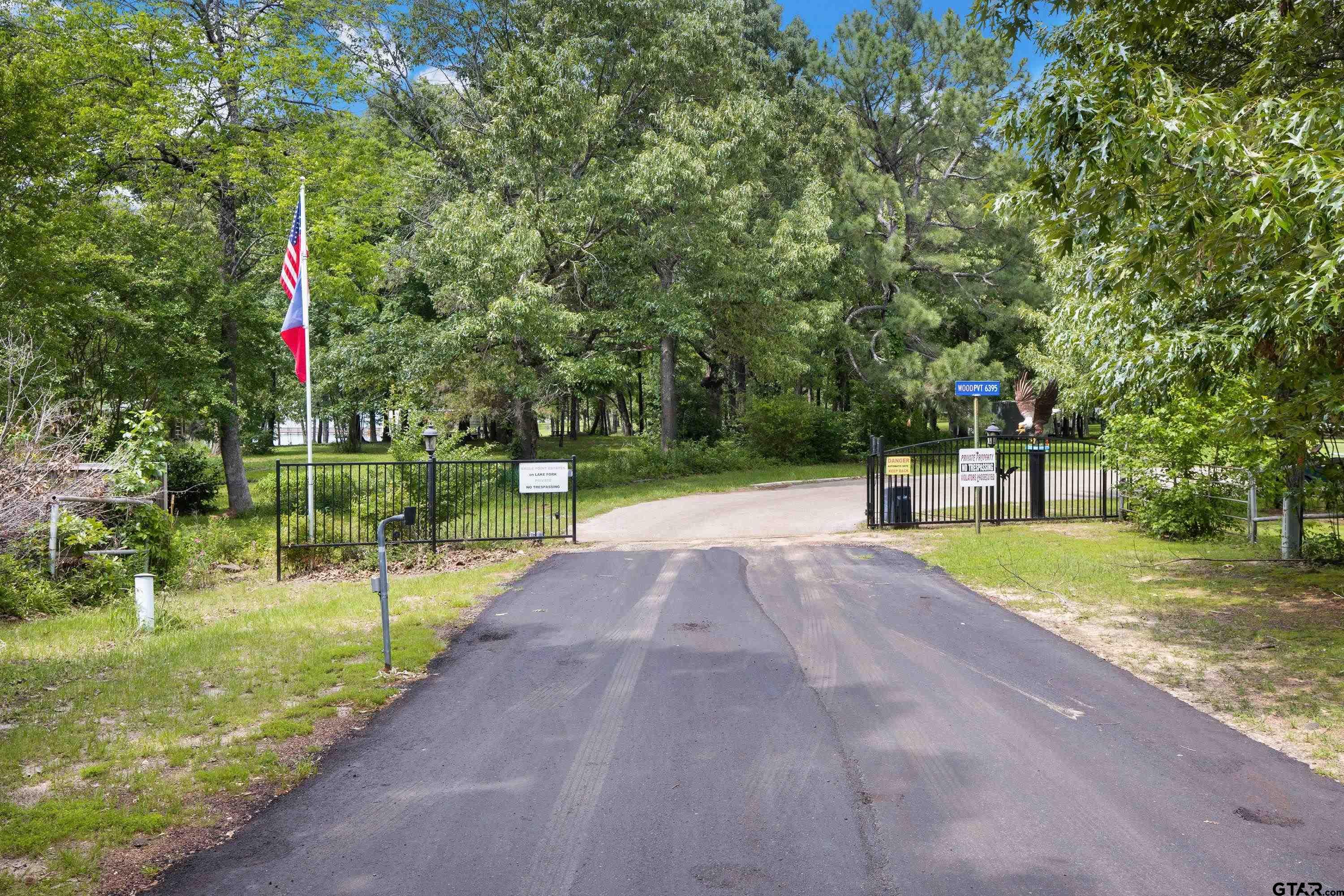 a park view with a fountain and a large tree