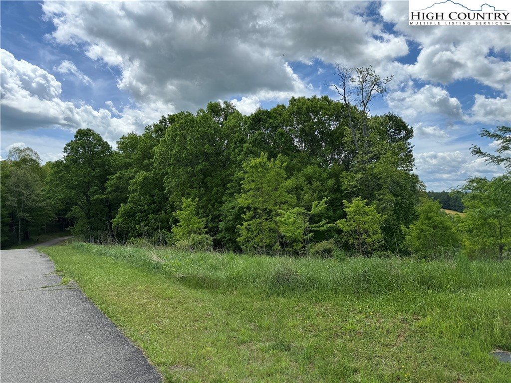 a view of a pathway both side of grassy field with shrub