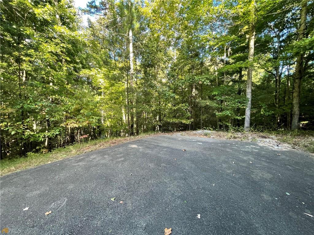 a view of a forest with trees in the background