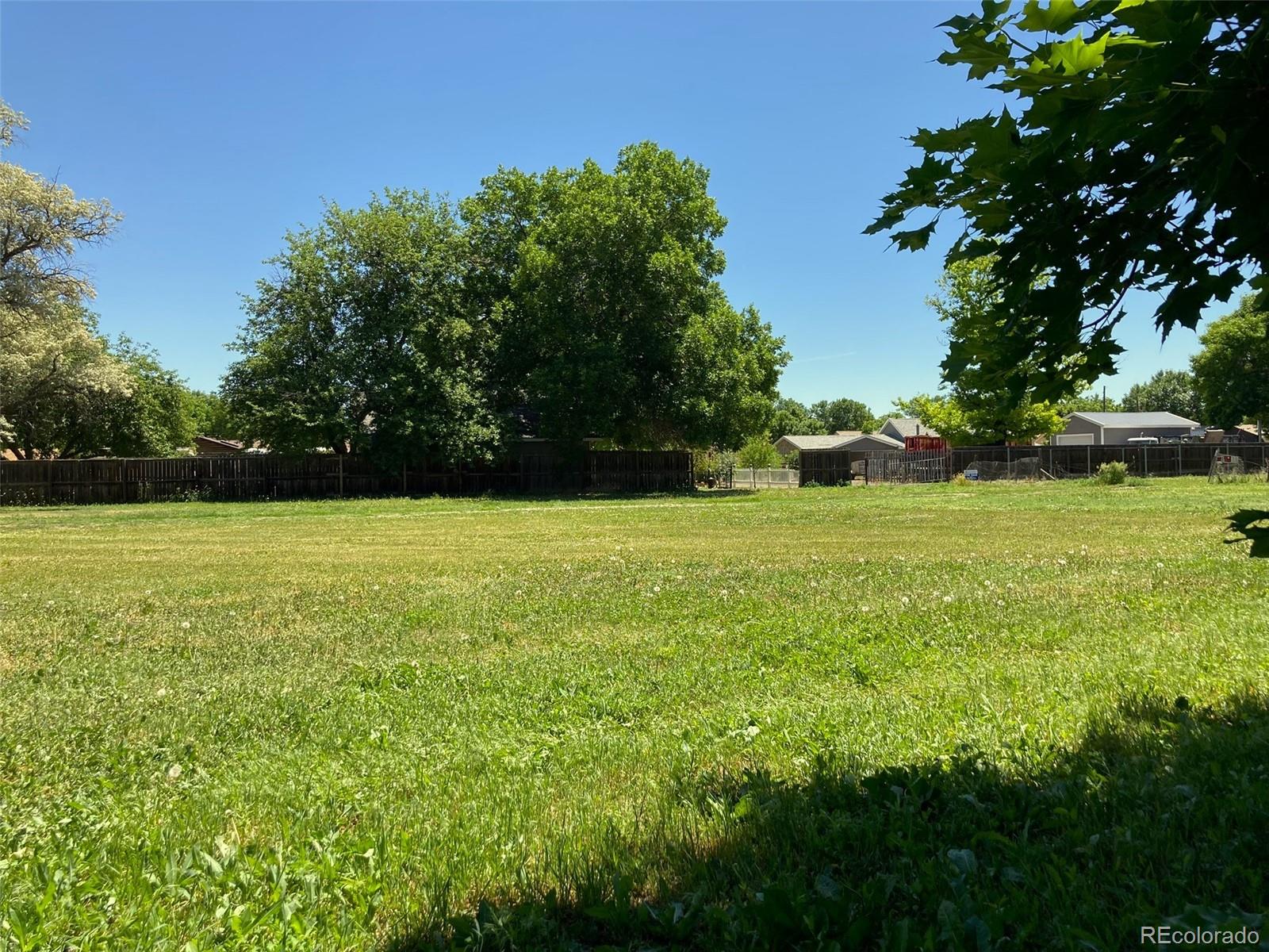 a view of a garden with a tree