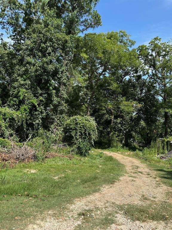 a view of a field with a tree