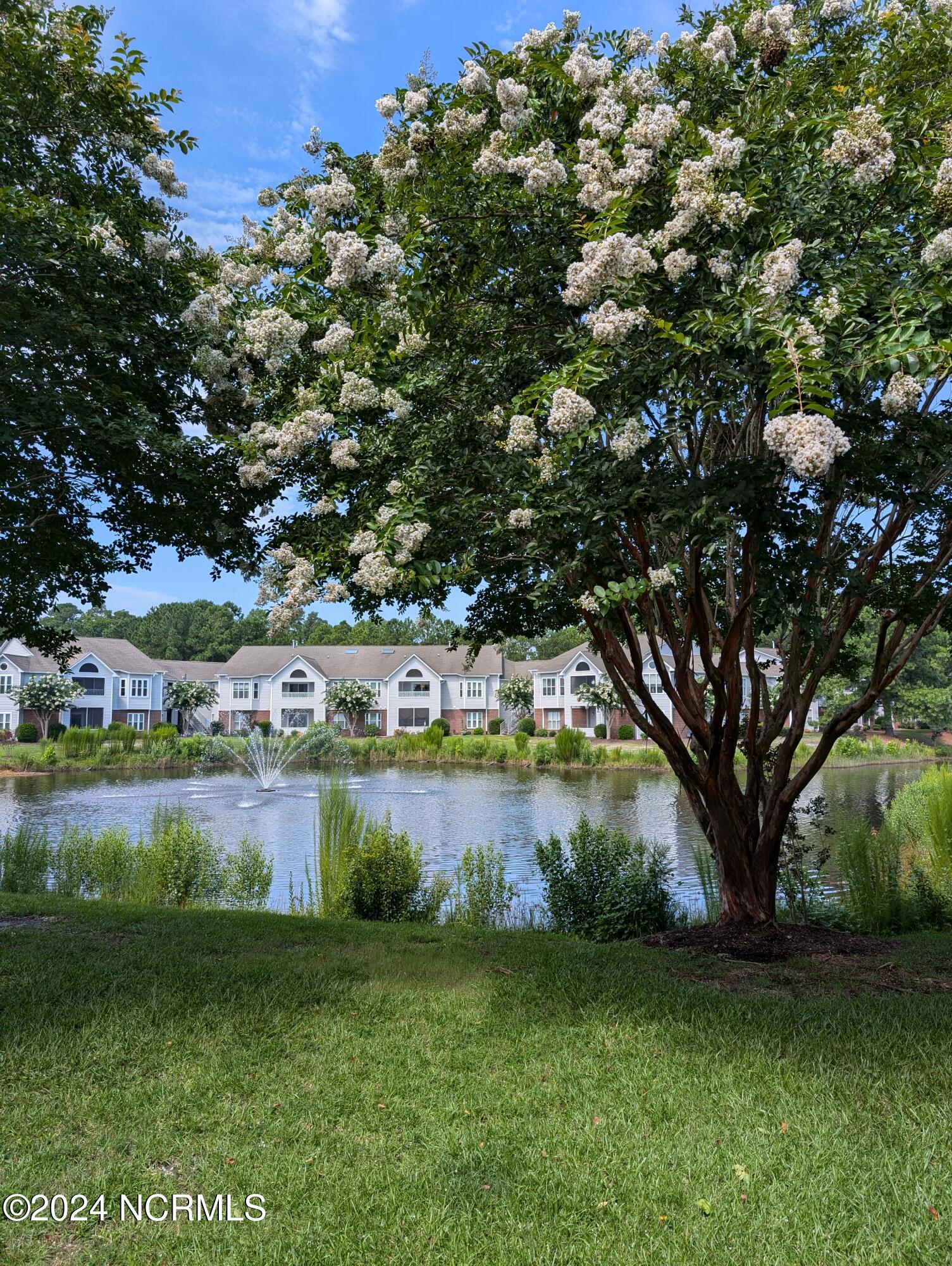 View of Pond from Condo