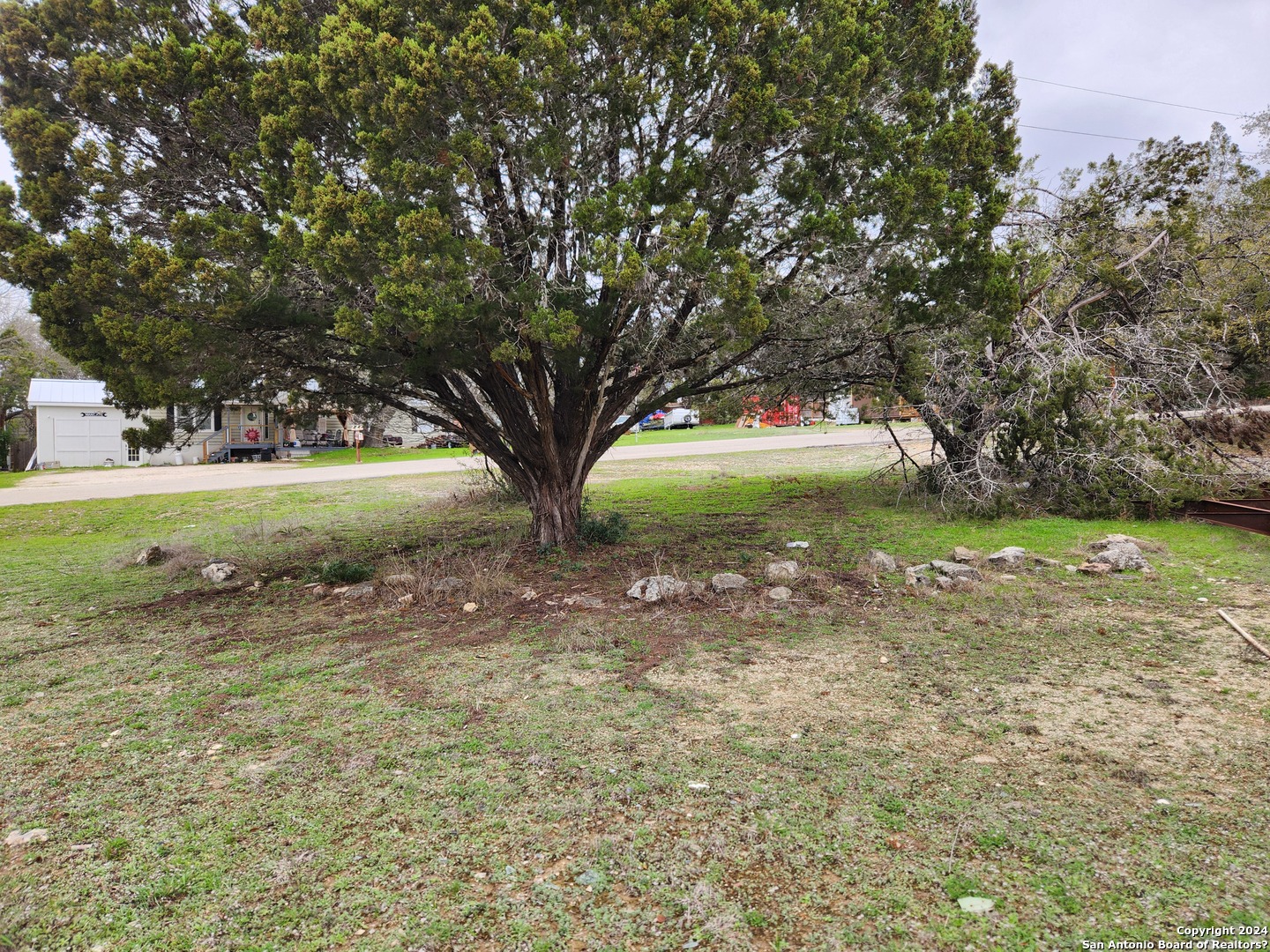 a view of backyard with green space