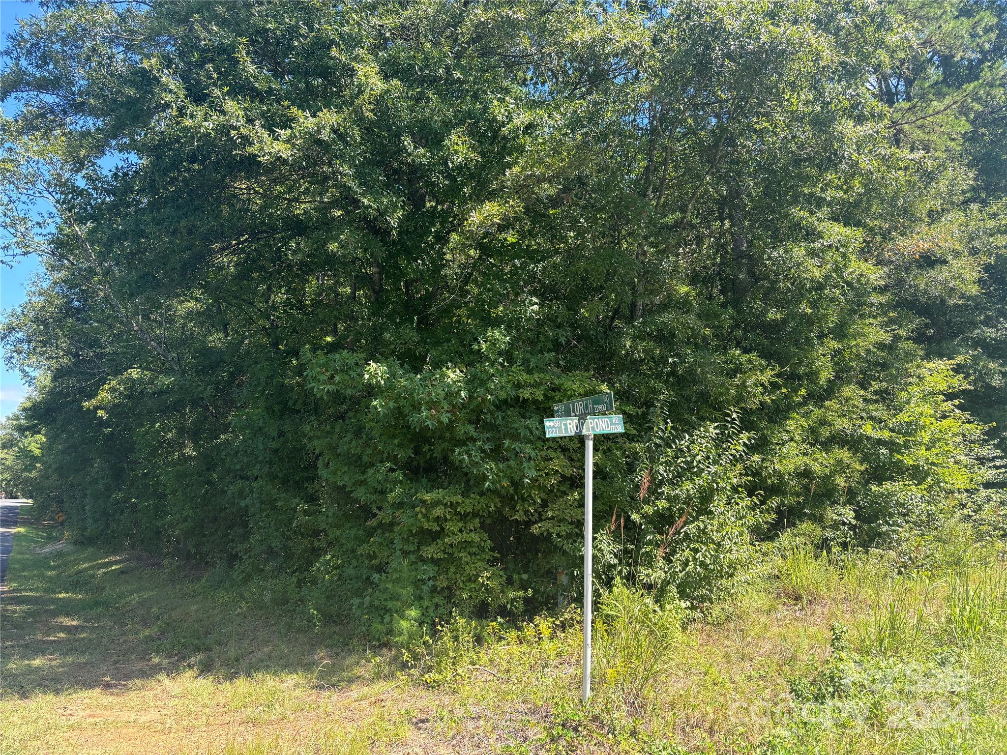 a view of outdoor space and trees