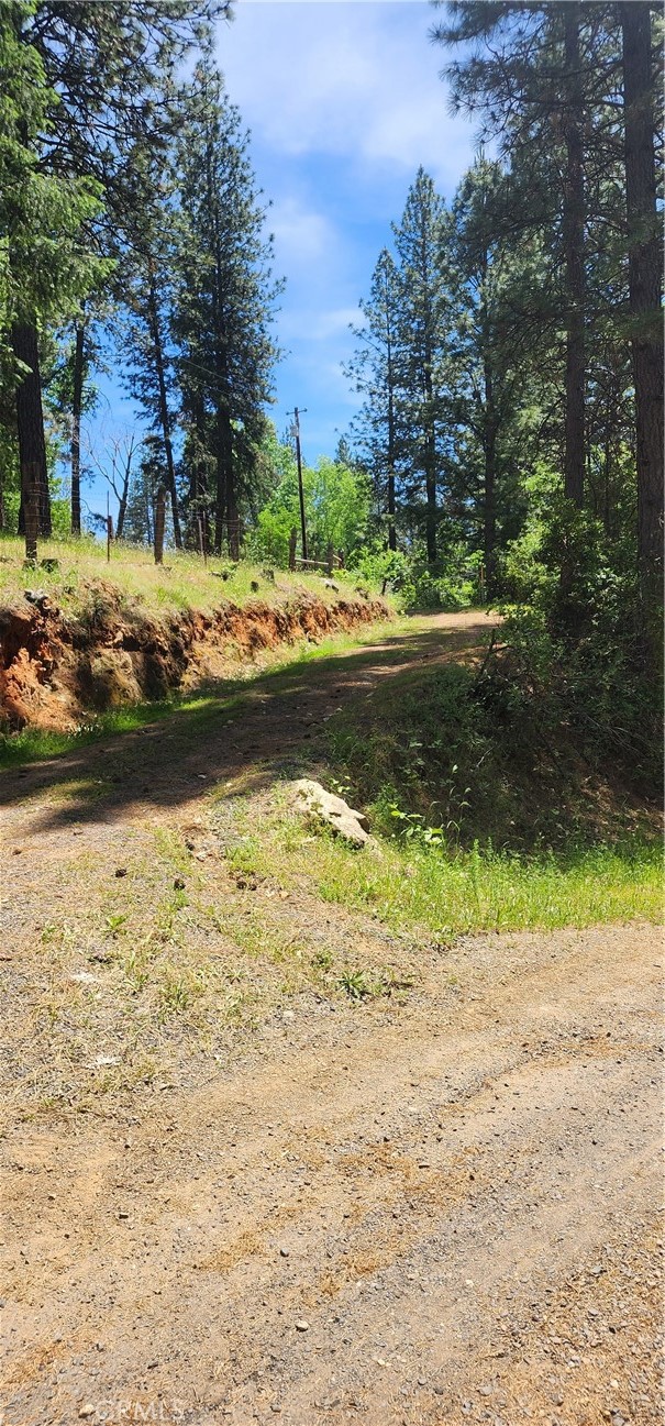 a view of a yard with a tree