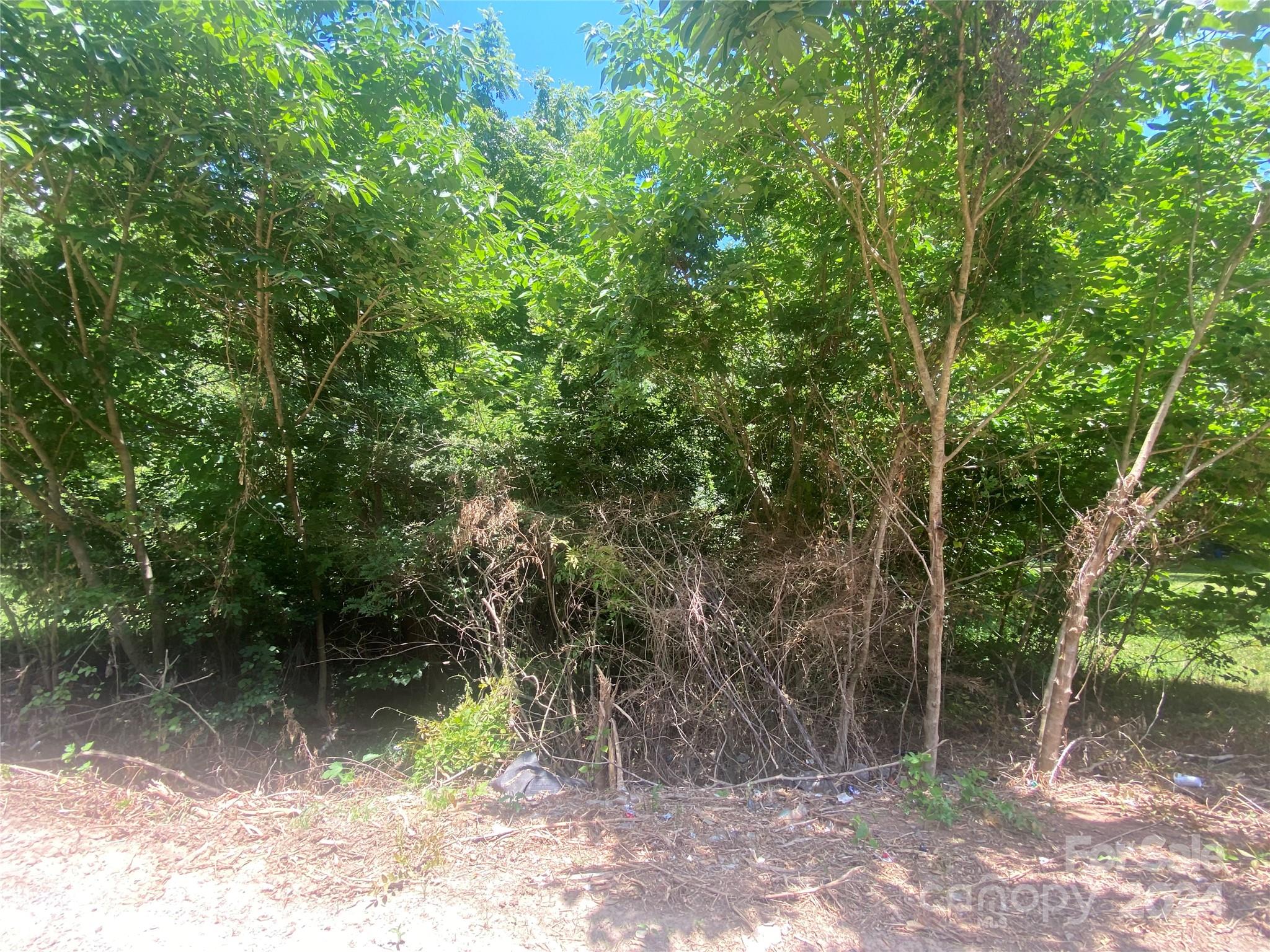 a backyard of a house with lots of trees