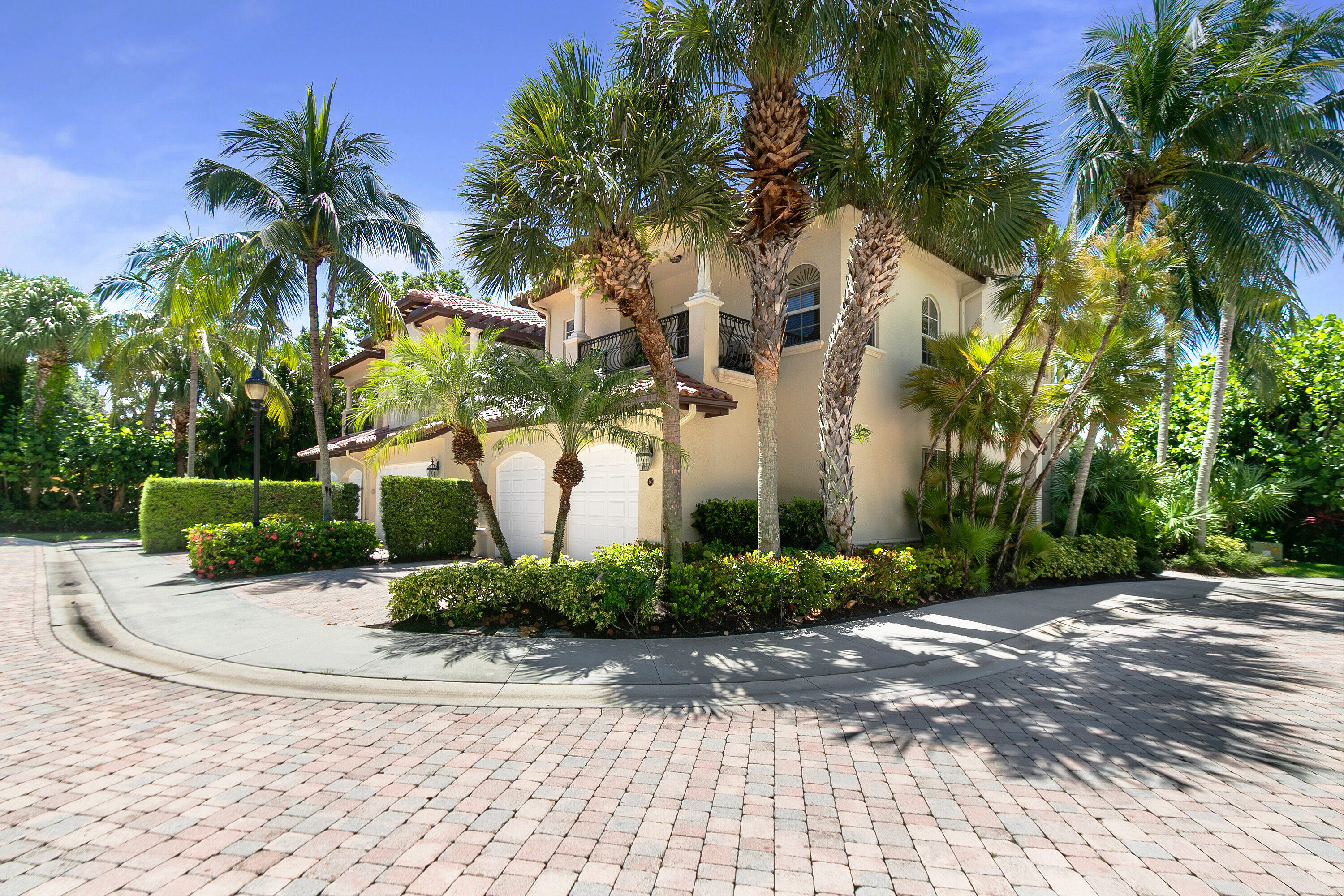 a view of a garden with palm trees