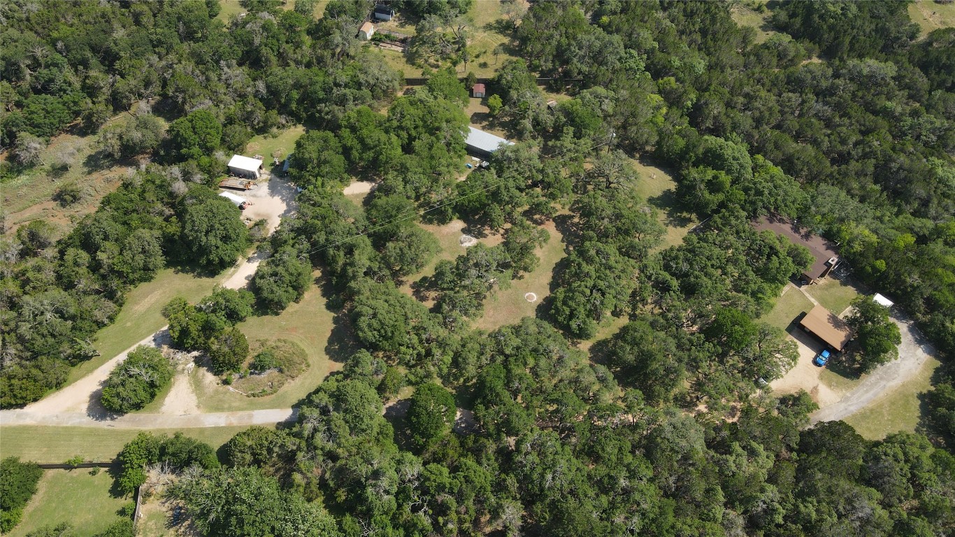 a view of a forest with a house