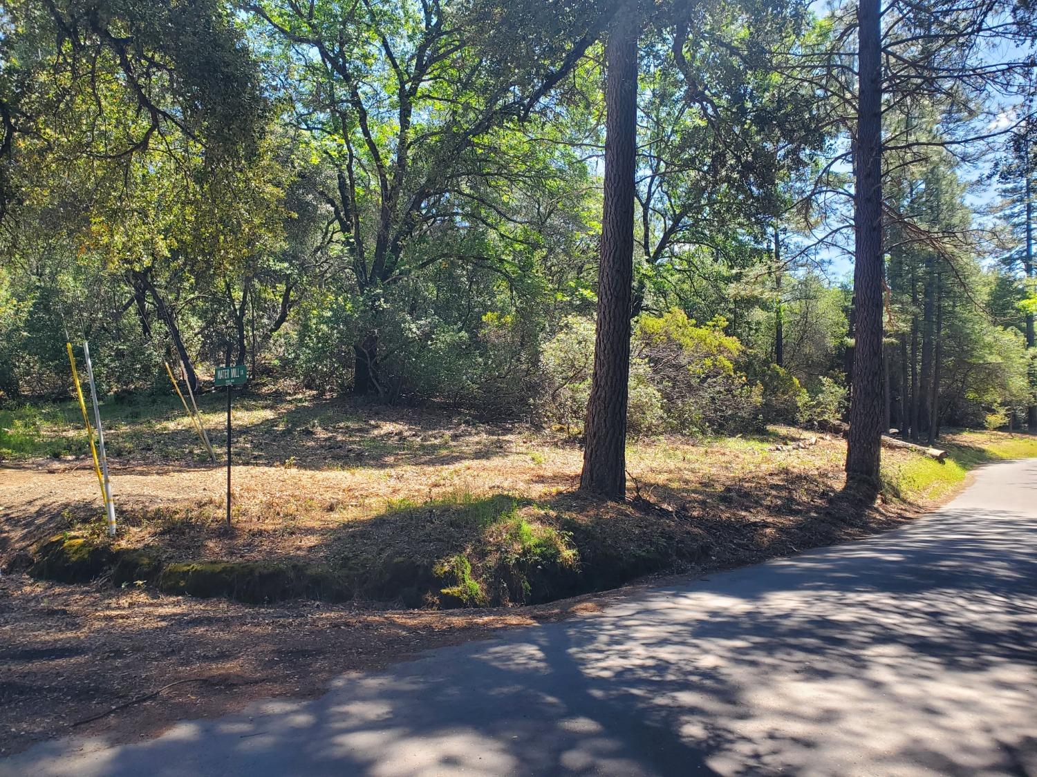 a view of a trees and yard