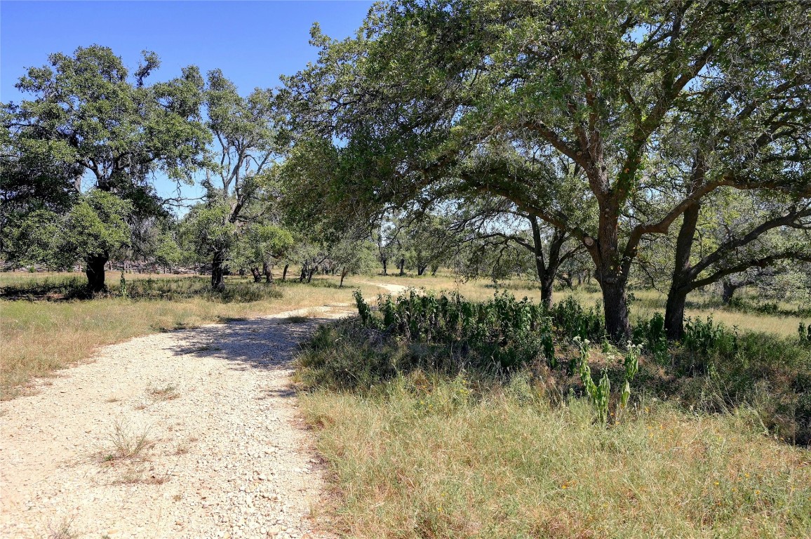 a view of outdoor space with trees all around