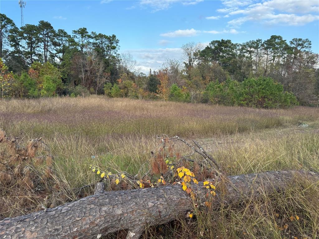 a view of a lake from a yard