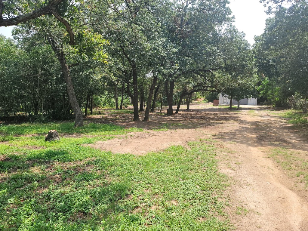 a view of a yard with a tree