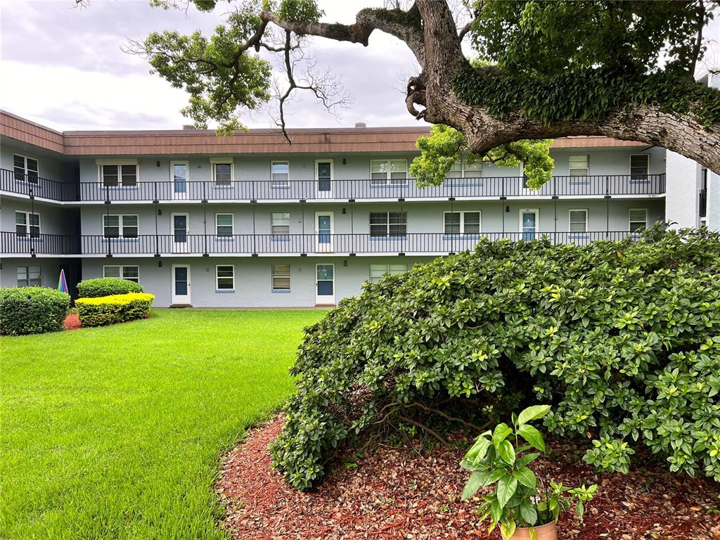 a view of a house with a garden and a large tree