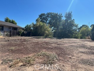 a view of backyard with green space